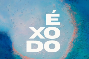 Becerril de la Sierra | Cuatro jóvenes atletas de Becerril de la Sierra brillan en la final autonómica de la Comunidad de Madrid de Campo a Través