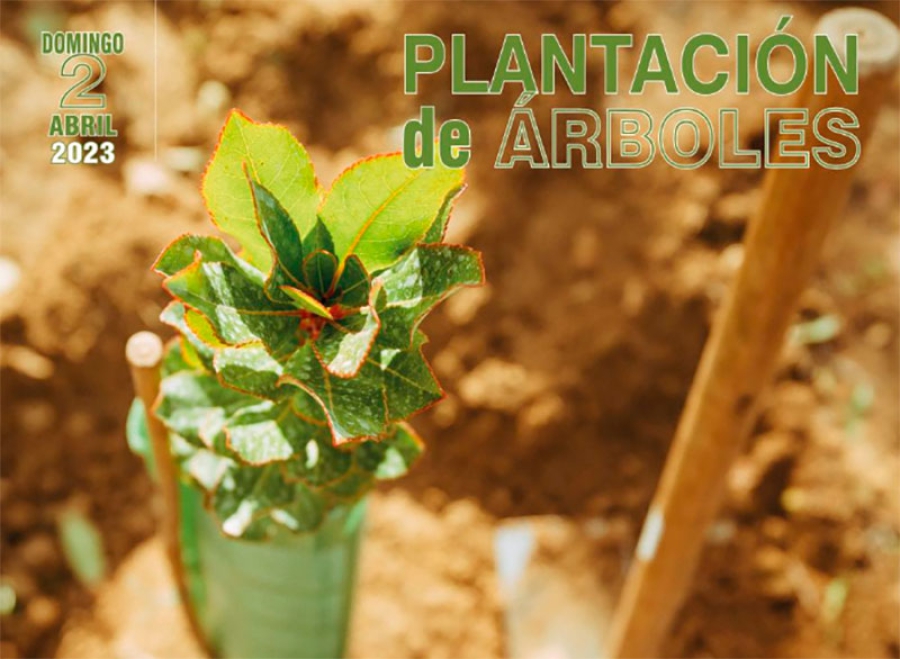 Villaviciosa de Odón | El Ayuntamiento convoca a una plantación popular de 200 árboles el 2 de abril