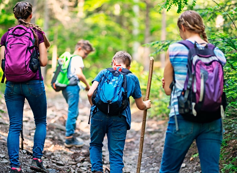 Torrelodones | El otoño comienza para los jóvenes con actividades de escalada, naturaleza y deporte adaptado