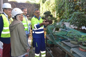 Collado Villalba | Collado Villalba contará con el Museo del Bonsái, único en la comarca