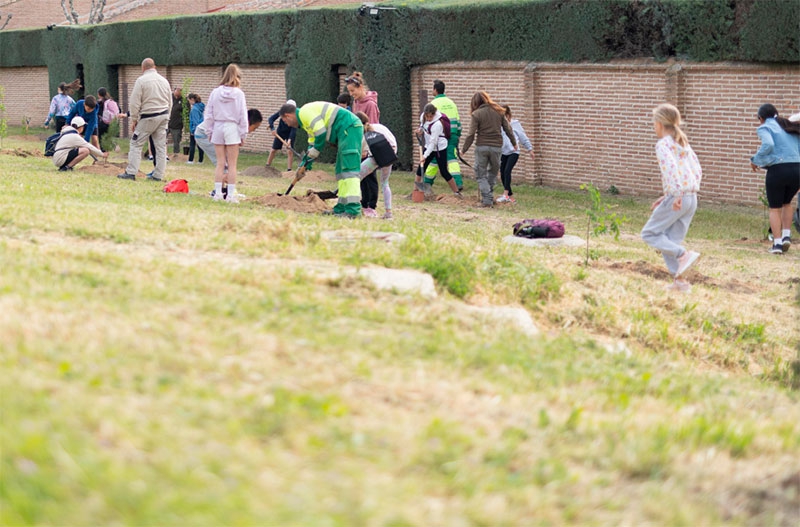 Boadilla del Monte | Alumnos del CEIP José Bergamín participan en una plantación de arbolado en Valdepastores