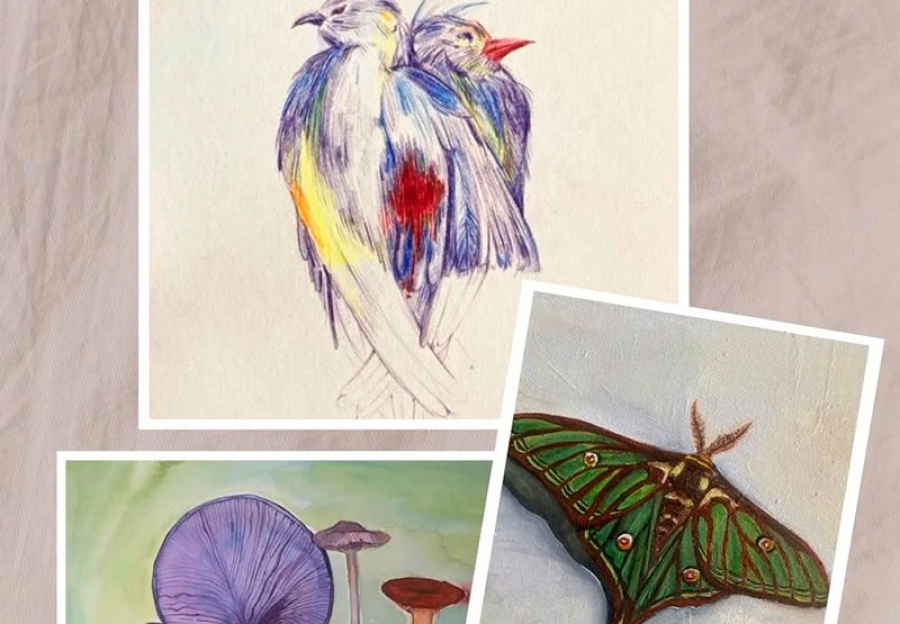 Colmenarejo | La Sierra protagonista de una exposición de pintura en Colmenarejo