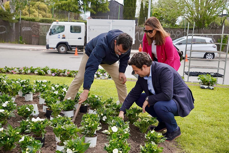 Las Rozas | Más de 40.000 flores de temporada para embellecer Las Rozas