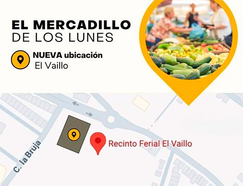 Villaviciosa de Odón | El mercadillo de los lunes se trasladará próximamente al recinto de El Vaíllo