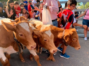 Villamantilla | Villamantilla celebra su Semana Grande en honor a San Miguel Arcángel