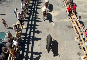 Navacerrada | Navacerrada celebra sus Fiestas Patronales en honor a la Natividad de Nuestra Señora del 5 al 8 de septiembre