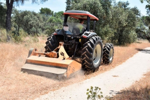 Villaviciosa de Odón | Atrás Trabajos de desbroce en El Monreal como medida de prevención de incendiosonreal