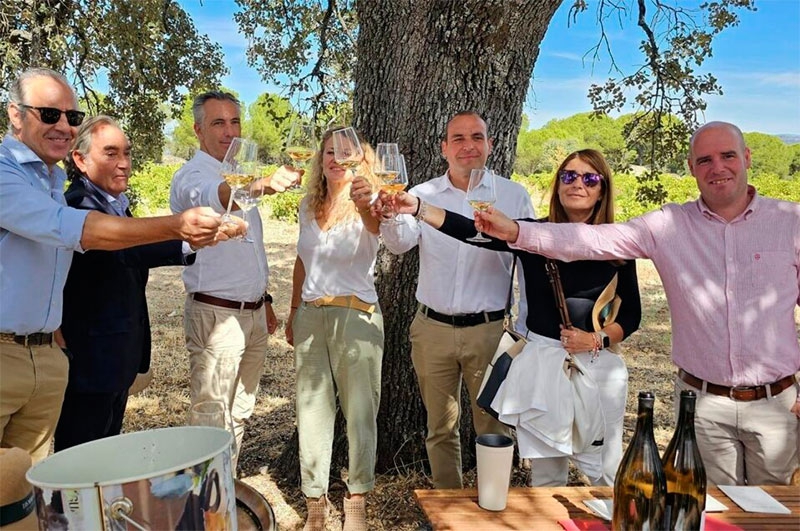 San Martín de Valdeiglesias | San Martín de Valdeiglesias participa en una jornada de vendimia ecológica