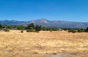 Moralzarzal | Moralzarzal reforestará la Dehesa Vieja con 250 nuevos fresnos con coste cero para las arcas municipales