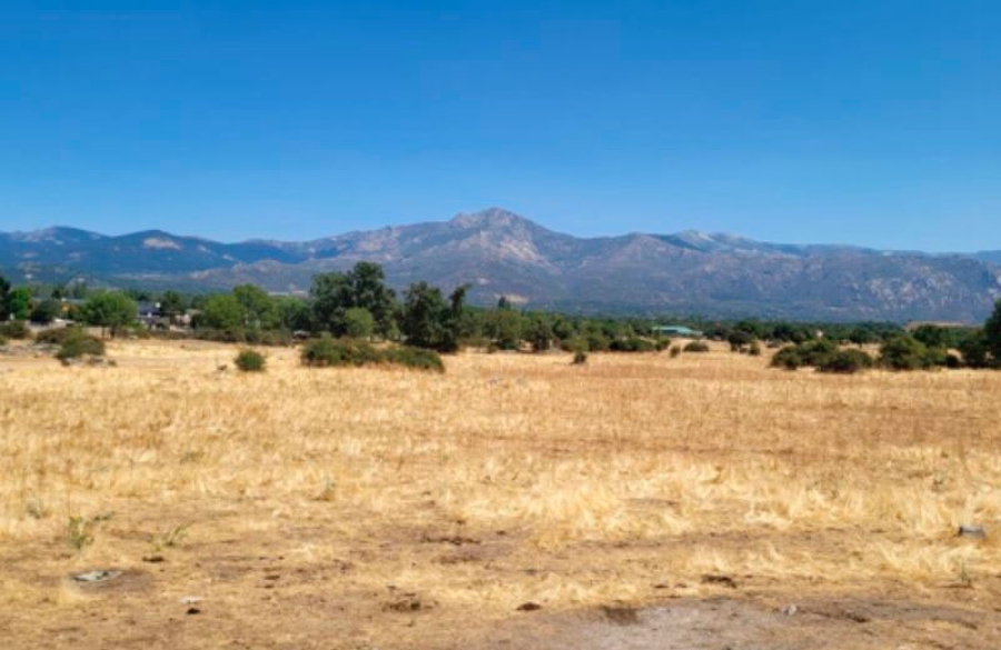 Moralzarzal | Moralzarzal reforestará la Dehesa Vieja con 250 nuevos fresnos con coste cero para las arcas municipales