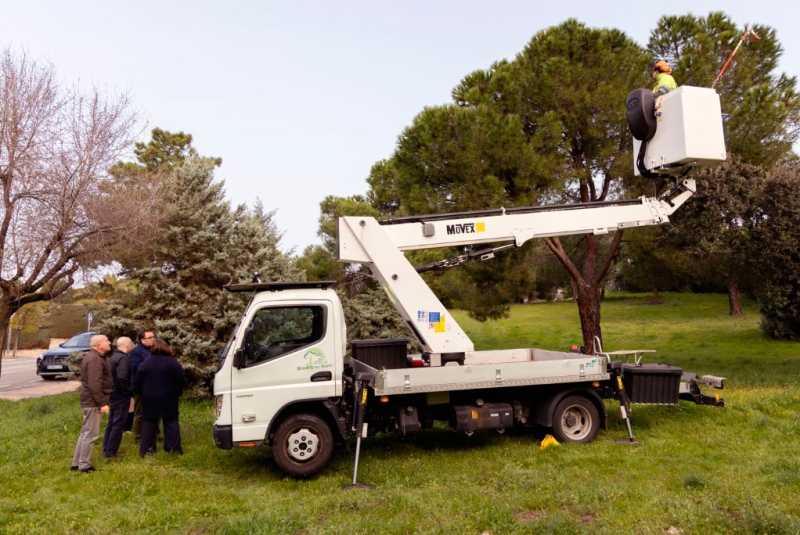 Boadilla del Monte | Comienza la campaña anual de control de la procesionaria del pino