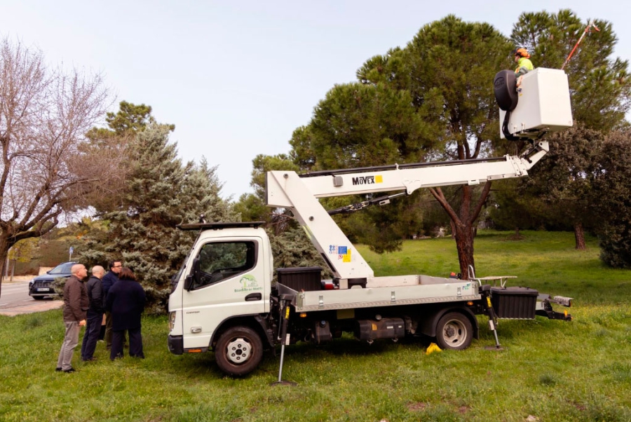 Boadilla del Monte | Comienza la campaña anual de control de la procesionaria del pino