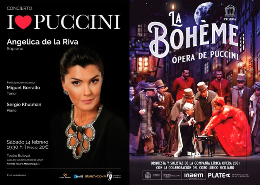 Torrelodones | La programación cultural de febrero llega con el XI Festival Torrecine