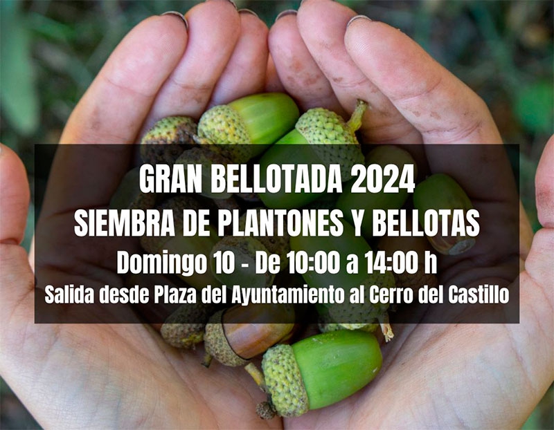 Collado Mediano | Gran Bellotada 2024 en Collado Mediano