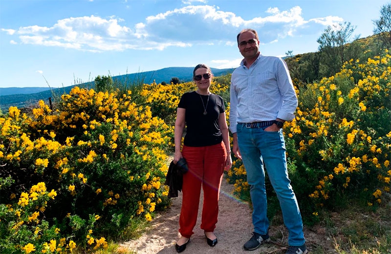 Los Molinos | La Comunidad de Madrid se suma a la celebración de la floración del cambroño
