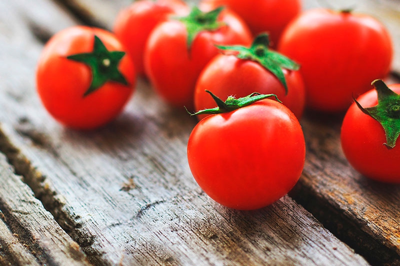Navas del Rey | Concurso de tomates del 21 al 22 de agosto