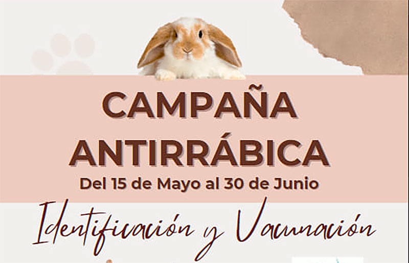 San Martín de Valdeiglesias | Campaña de vacunación antirrábica e identificación