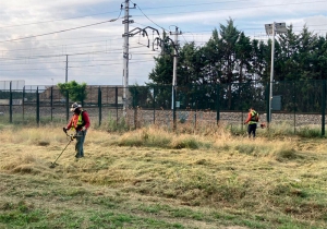 El Escorial | El Escorial inicia una campaña urgente de desbroce para minimizar el riesgo de incendios