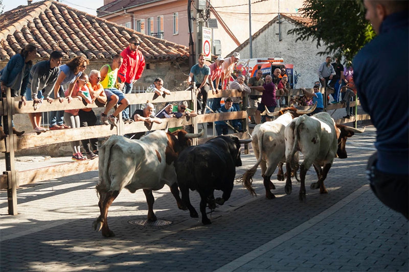 Moralzarzal | Moralzarzal se prepara para vivir la Fiesta Grande de la Sierra del 18 al 23 de septiembre