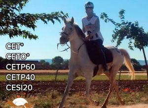 Villamantilla | X Raid Hípico de la Jara de la Sierra Oeste en Villamantilla