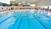 Villanueva de la Cañada | El colegio Zola, ganador del VII Campeonato de Jóvenes Nadadores
