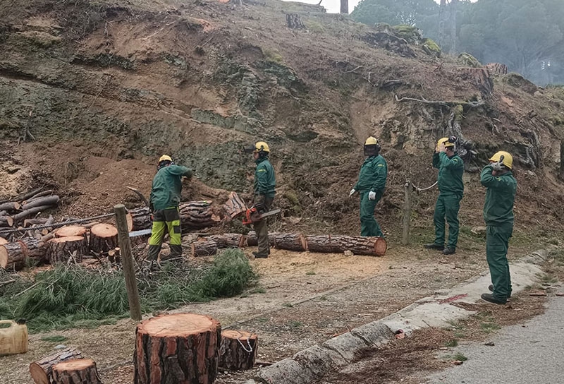 San Martín de Valdeiglesias | En marcha importantes actuaciones de limpieza forestal por seguridad y para prevenir incendios