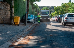 Boadilla del Monte | El Ayuntamiento refuerza los trabajos de barrido de pinocha en las urbanizaciones históricas