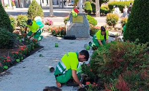 Galapagar | 2.000 flores de temporada para llenar de color las calles de Galapagar