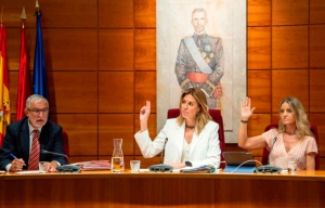 Pozuelo de Alarcón | El Pleno del Ayuntamiento se opone a la intención del Gobierno de España de trasladar menores inmigrantes a Pozuelo
