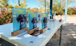 Torrelodones | Cerca de medio centenar de perros compitieron por ser el más guapo, obediente y simpático de Torrelodones