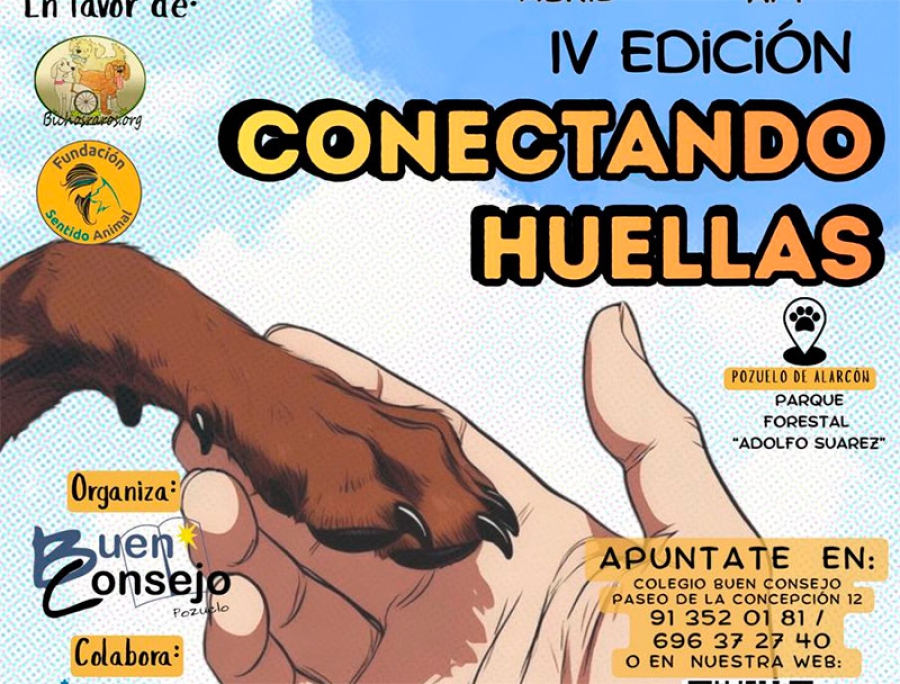 Pozuelo de Alarcón | Pozuelo de Alarcón celebra este domingo una carrera solidaria contra el maltrato animal