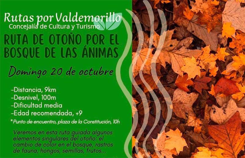 Valdemorillo | El 20 de octubre ruta de otoño por el bosque de las Ánimas