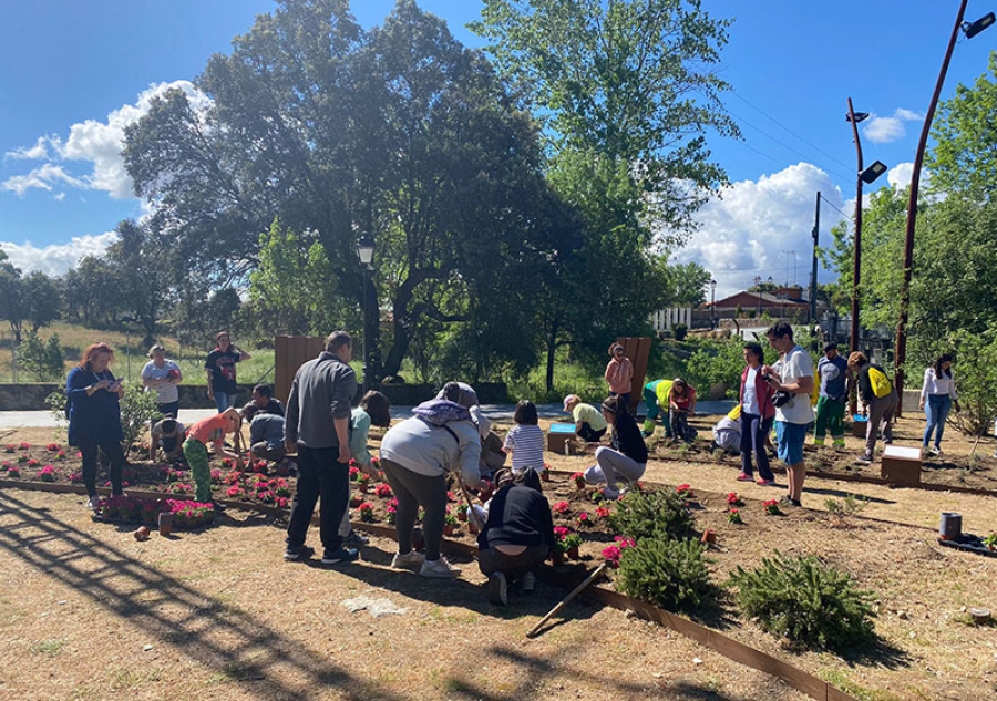 Colmenar del Arroyo | Plantación de petunias en una jornada para disfrutar en familia