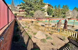 Majadahonda | Los colegios San Pío X y Antonio Machado estrenan nuevos patios, permeabilizados con zonas de descanso arboladas