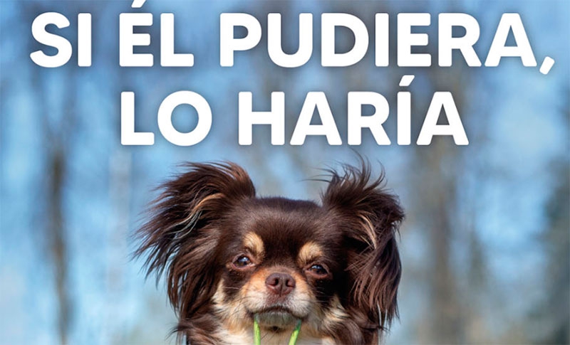 Pozuelo de Alarcón | Pozuelo de Alarcón relanza la campaña ‘Si él pudiera, lo haría’ para la recogida de excrementos caninos