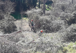 Torrelodones | La concejalía de Medio Ambiente comienza una campaña para adecuar las sendas municipales