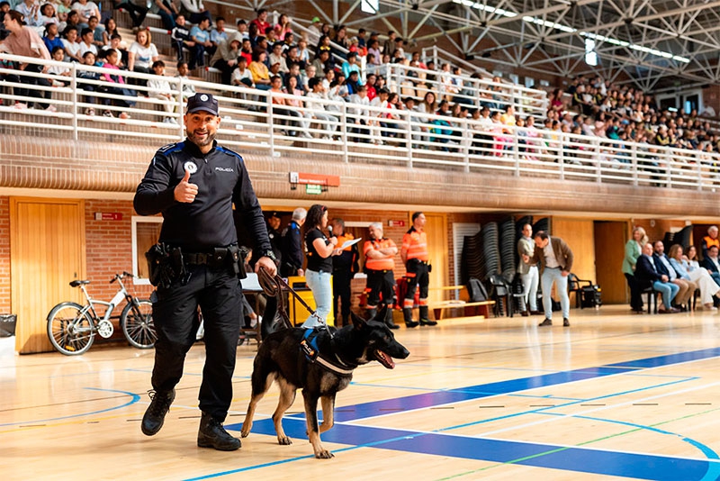 Pozuelo de Alarcón | Las unidades caninas de la Policía Municipal de varios municipios de la región dan a conocer su labor ante más de 500 alumnos