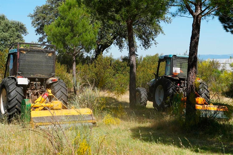 Villaviciosa de Odón | Plan municipal de desbroces y prevención de incendios 2026