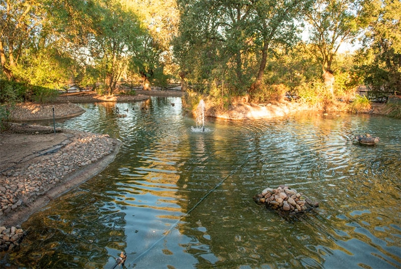 Boadilla del Monte | El Ayuntamiento remodela el estanque de patos para mejorar la calidad del agua