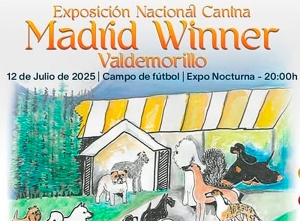 Valdemorillo | Cerca de 500 ejemplares de 123 razas diferentes en la gran ‘Fiesta del Perro’ en Valdemorillo