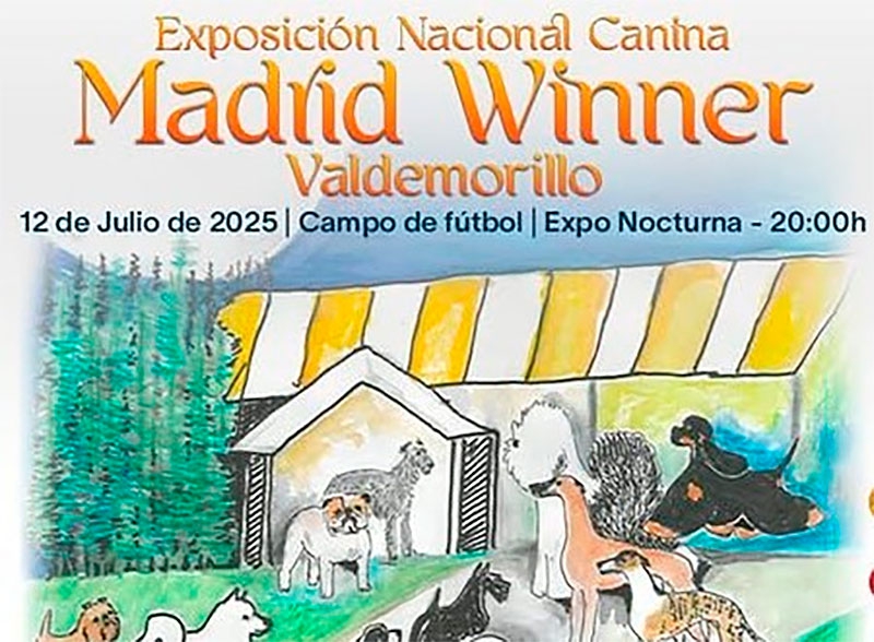 Valdemorillo | Cerca de 500 ejemplares de 123 razas diferentes en la gran ‘Fiesta del Perro’ en Valdemorillo