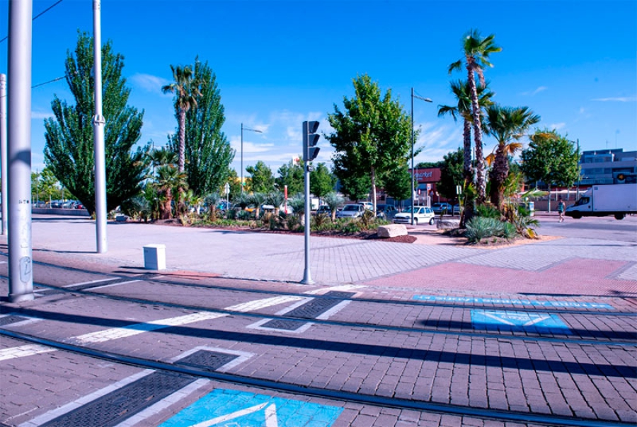 Boadilla del Monte | El Ayuntamiento crea un xerojardín en Puerta de Boadilla, con palmeras y plantas de bajo consumo hídrico