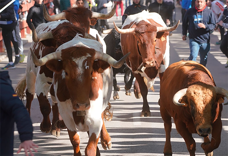 Las Rozas | Comienzan las Fiestas de San José Obrero en Las Matas