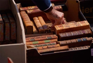 Las Rozas | Las Rozas recibe la primavera con tres mercadillos al aire libre