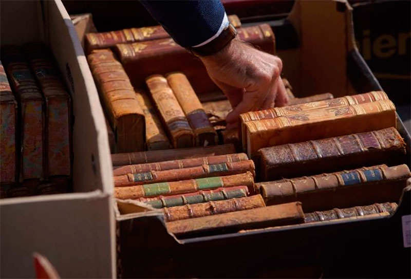 Las Rozas | Las Rozas recibe la primavera con tres mercadillos al aire libre