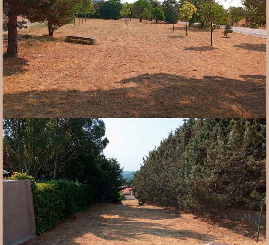 Becerril de la Sierra | Desbroce de parcelas municipales