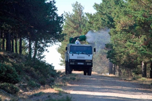 Guadarrama | Guadarrama solicita a la Comunidad de Madrid nuevas acciones de limpieza y conservación en el monte pinar