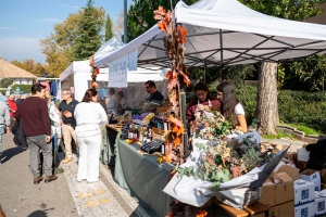 Pozuelo de Alarcón | El nuevo mercadillo municipal de Pozuelo regresa este sábado tras el éxito de su reinauguración