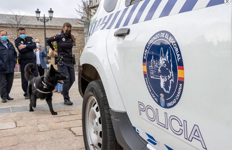 San Lorenzo de El Escorial | Exhibición con unidades caninas de policías locales de la Comunidad de Madrid este domingo