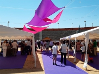 San Martín de Valdeiglesias | Llega la IV Feria del Vino de San Martín de Valdeiglesias